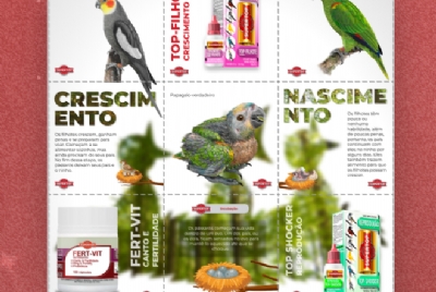 Imagem de Conheça o Instagram da Rações Super Top: Dicas, promoções e tudo sobre alimentação saudável para pet